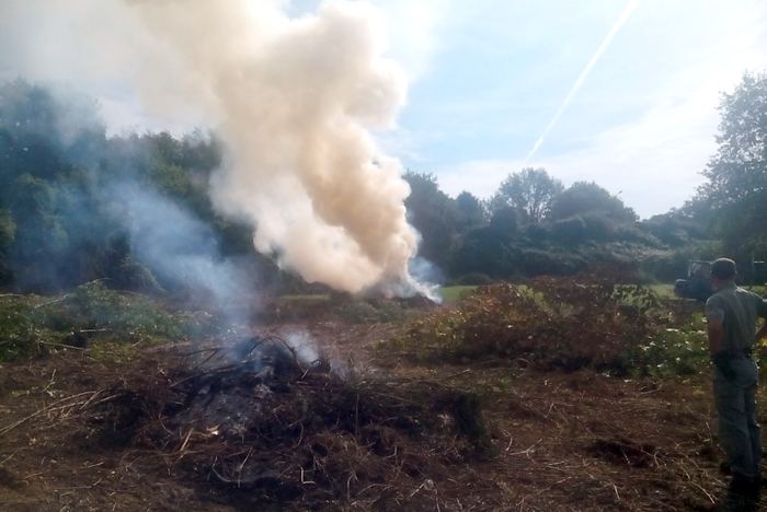 Incendi, scatta il divieto assoluto di accensione fuochi