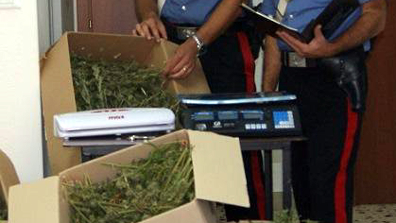 Contrasto allo spaccio di sostanza stupefacente a Sesto. Rinvenuti oltre 9 kg di marjuana