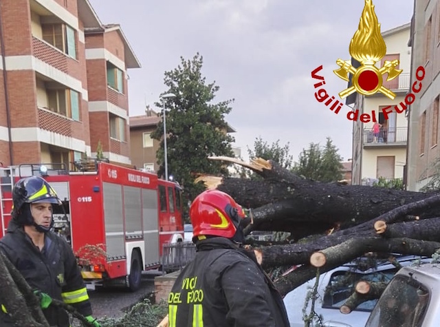 Tromba d’aria si abbatte su Colle Val d’Elsa e Poggibonsi
