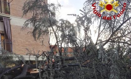 Tromba d’aria del Novembre 2025 a Larciano, contributo dalla Regione