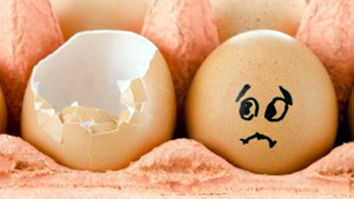 Rischio salmonella: ritirato lotto di uova fresche prodotte in Abruzzo