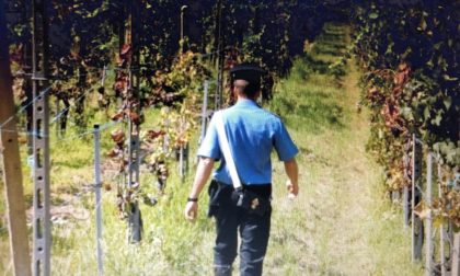 Caporalato, blitz in Valdelsa e nel Chianti