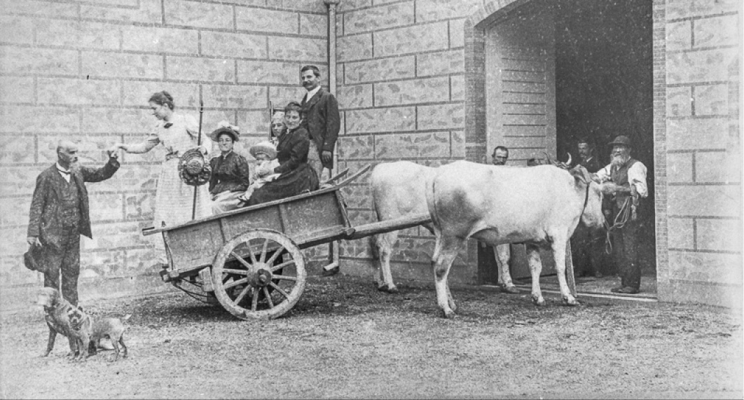 Passeggiata in Toscana: alla scoperta della bélle epoque a Montepiano