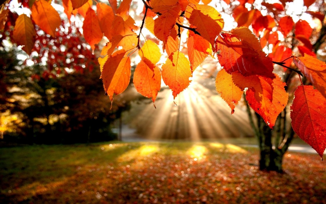 L’equinozio d’autunno? E’ oggi, 23 settembre, alle 9.50