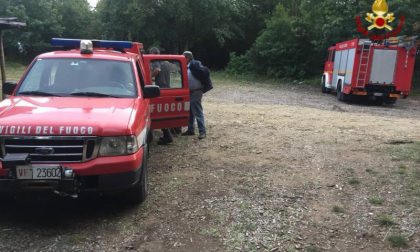 Si perde nel bosco: in soccorso anche l'elicottero