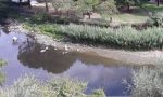 Lavori alla pescaia del Bisenzio in via Mazzini