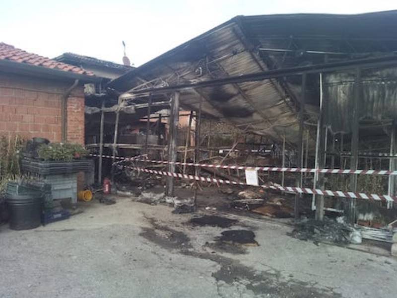 Incendio in una attività di floricoltura a Pieve a Nievole