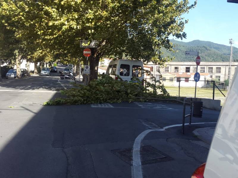 Maltempo, allerta vento con codice giallo
