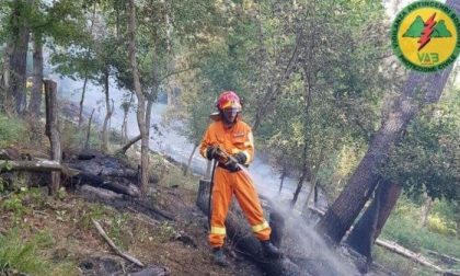 Incendio boschivo a Gricigliana