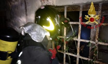 Incendio nella colonia felina di San Salvi