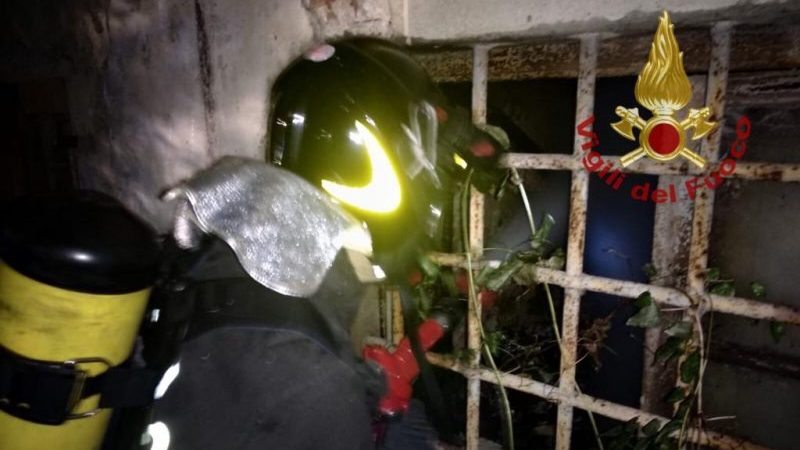 Incendio nella colonia felina di San Salvi