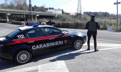 Ladro si dà alla fuga, esce di strada e si schianta