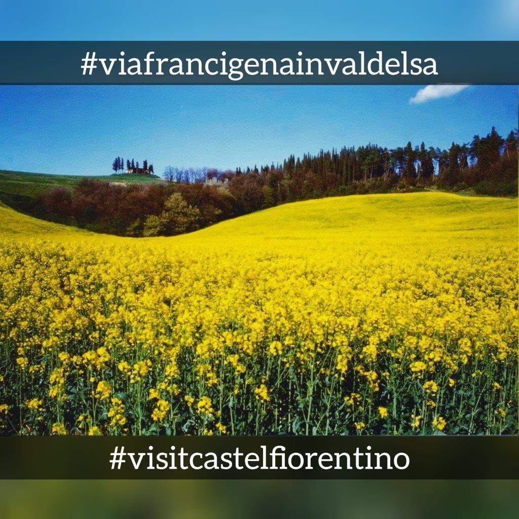 Contest fotografico e docufilm sulla Via Francigena