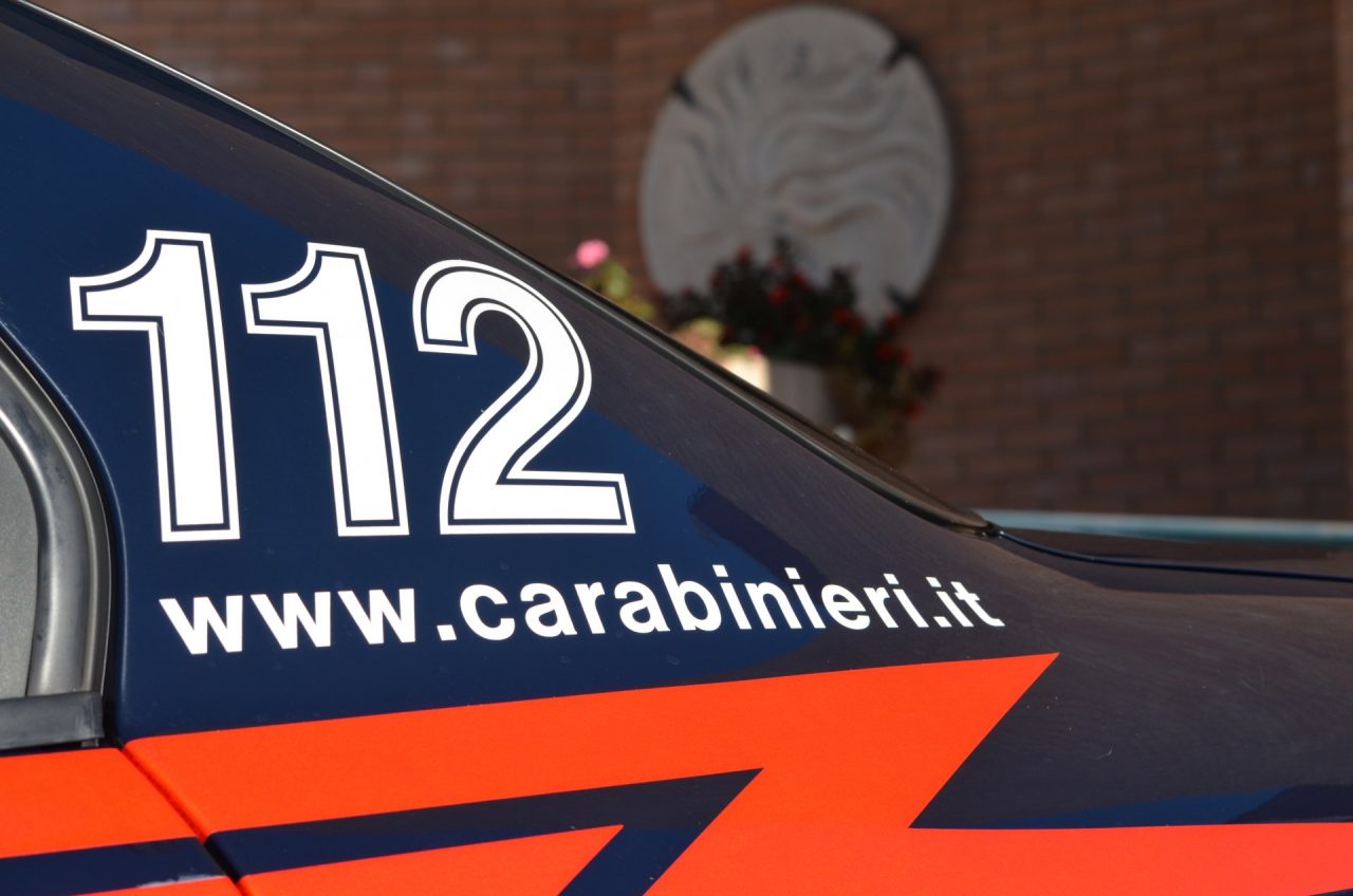 Cuccioli rischiano l’investimento: li salvano i carabinieri