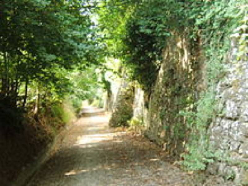 Una domenica alla scoperta del Bargo (Poggio a Caiano)