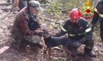 Cane finisce in un cunicolo a Cutigliano: lo salvano i vigili del fuoco