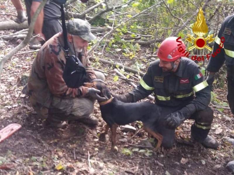 Cane finisce in un cunicolo a Cutigliano: lo salvano i vigili del fuoco