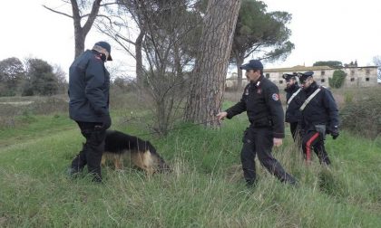 Stava nascondendo otto involucri di eroina nelle piante: arrestato pusher