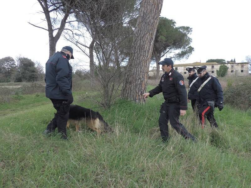 Stava nascondendo otto involucri di eroina nelle piante: arrestato pusher