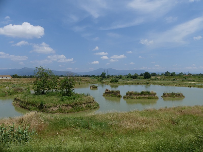 Foto 3__Nuova Cassa esp_ Ponte Attigliano (dr. Carlo Scoccianti_WWF)