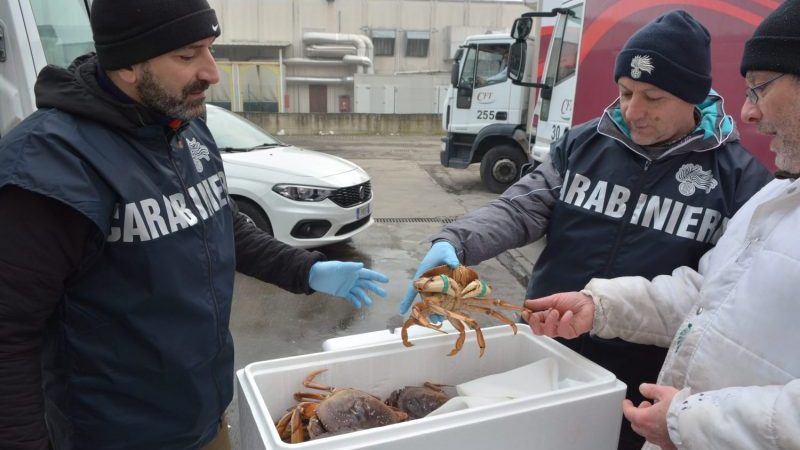 Grosso sequestro di prodotti ittici tra Firenze e Sesto