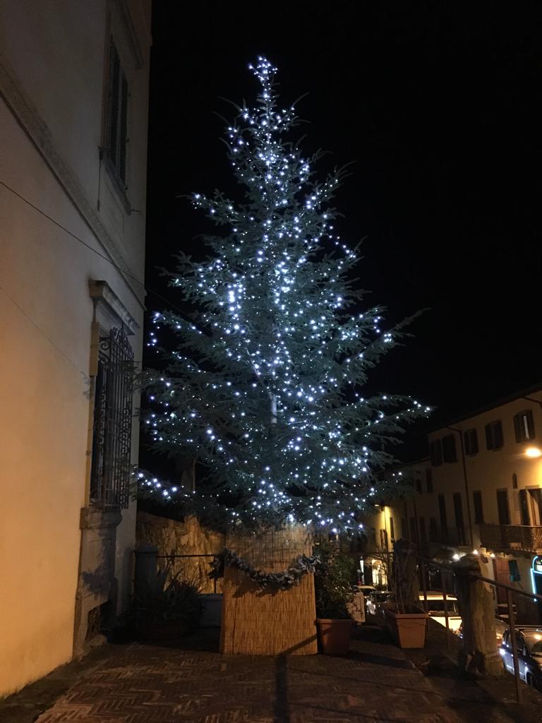 albero di Natale Poggio a Caiano