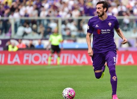 Stadio Franchi, Jacopo Cellai (Forza Italia): “Chiacchiere del PD allontanano Commisso da Firenze”