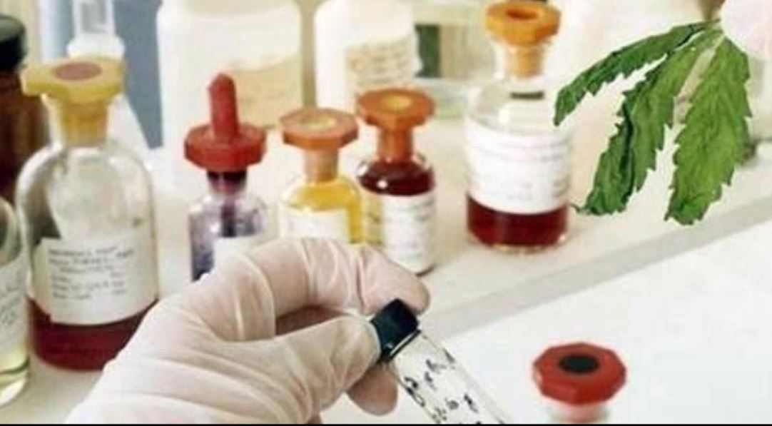 Convegno al CTO di Careggi sulle novità della cannabis