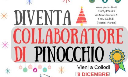 Pinocchio: tutti insieme ad addobbare il Parco