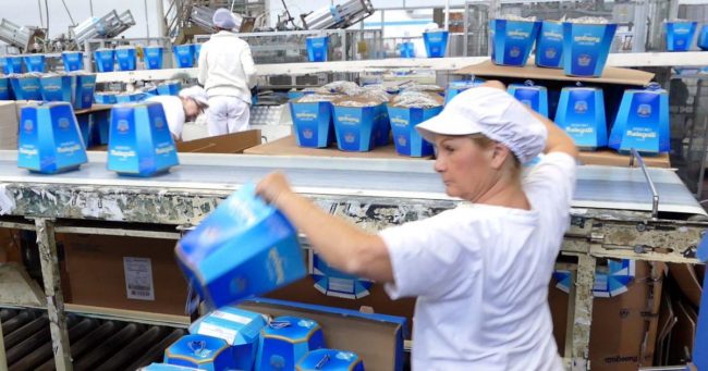 Melegatti risorge dalle ceneri: a ruba i pandori