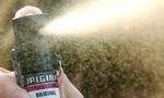 Ladri armati di spray derubano un negozio