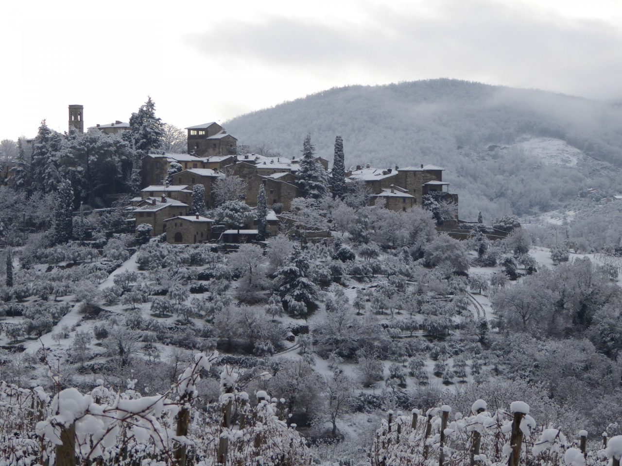 Maltempo Toscana, le vigne del Chianti si sono svegliate sotto la neve
