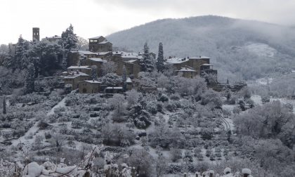 Maltempo Toscana, le vigne del Chianti si sono svegliate sotto la neve