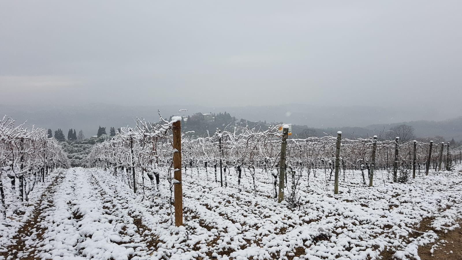 San Casciano, neve