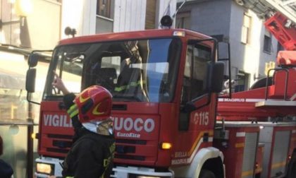 Bloccata sull'argine del fiume: chiamano i vigili del fuoco per aiutarla