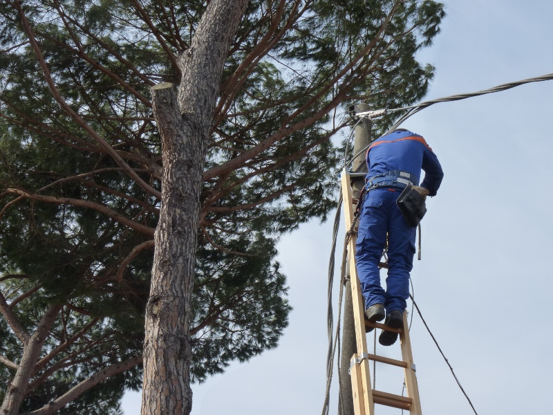 Energia: domani notte intervento di e-distribuzione sulla Fi-Pi-Li