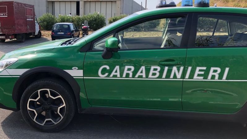 Cpap: Comando Provinciale Carabinieri Forestali di Prato è stato accorpato a Pistoia? Sembra proprio di sì