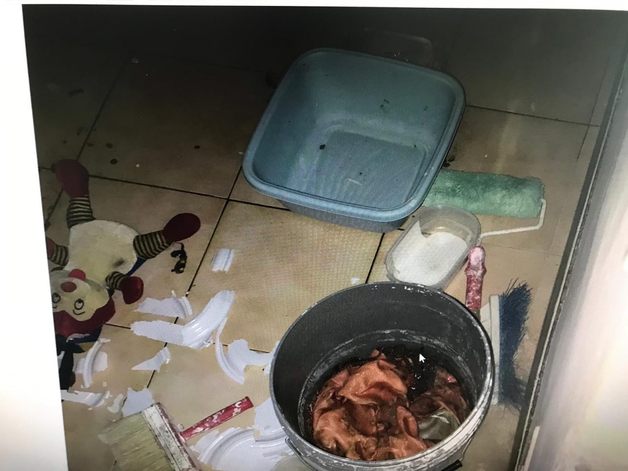 Pistoia, denunciata donna per maltrattamento animali