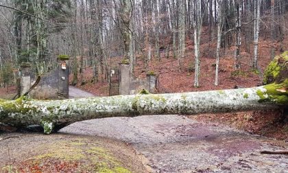 Piogge in Val di Bisenzio: fiumi e torrenti hanno retto bene