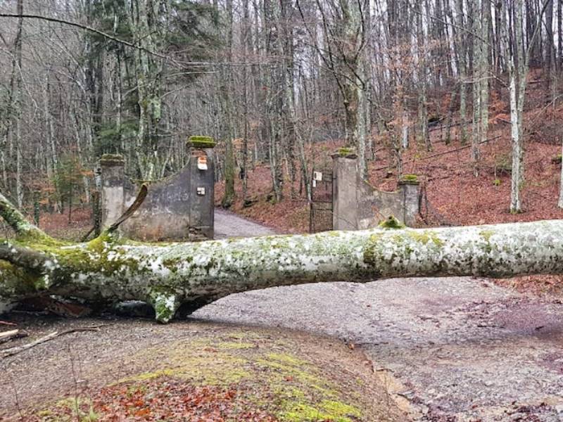 Emergenza maltempo, si riparano i danni in somma urgenza