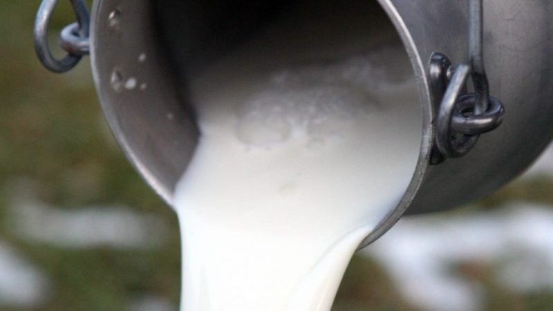 Dalla Regione tre milioni per rilanciare il settore del latte
