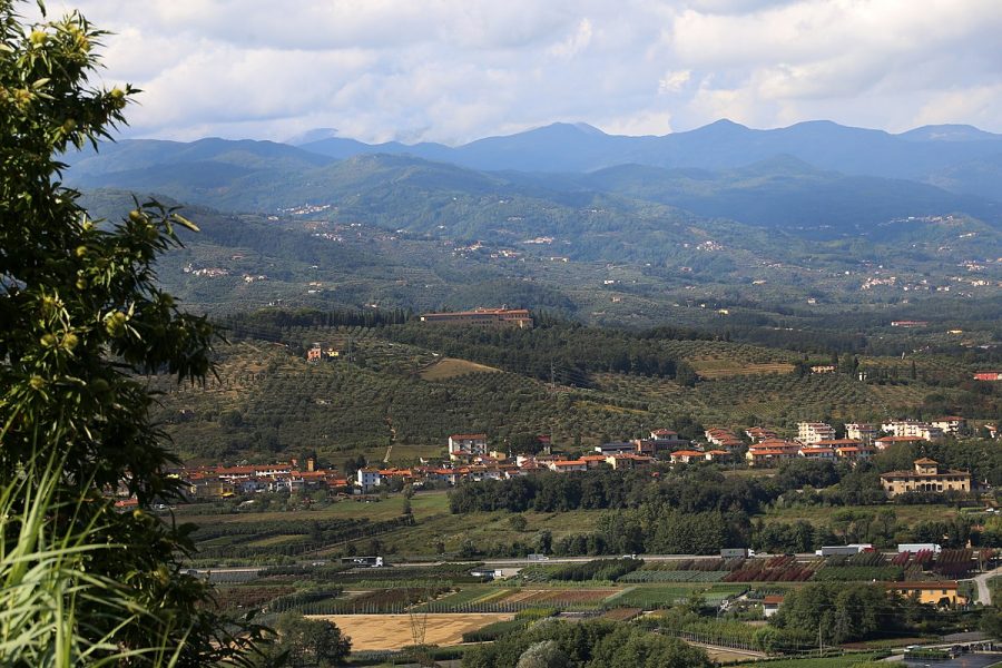 Il vivaismo a Pistoia compie 170 anni: ecco la sua storia