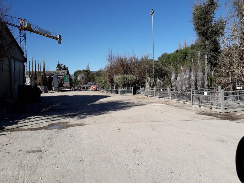 Pistoia, rinviato il funerale dell’operaio morto in vivaio