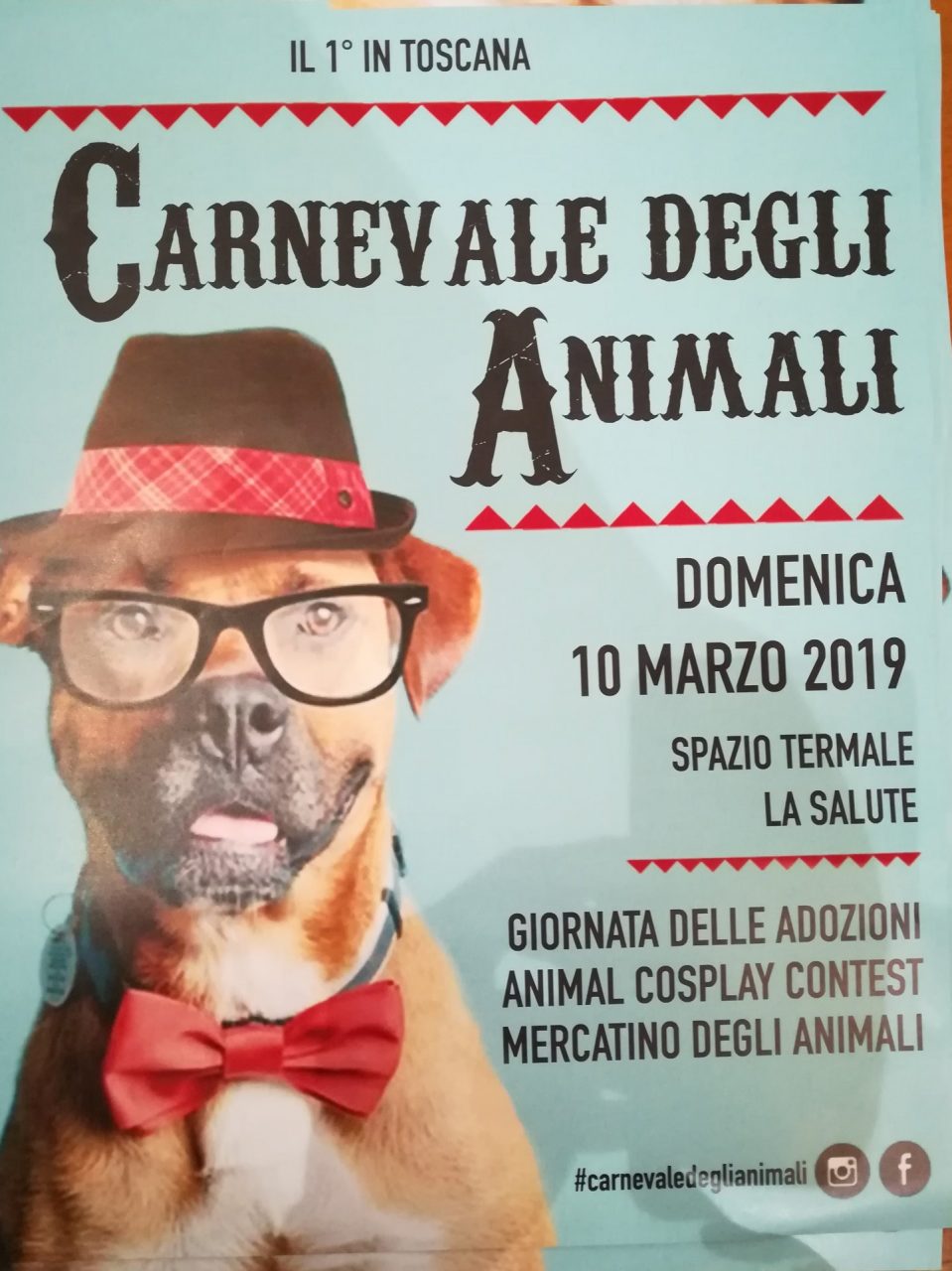 Montecatini, alle Terme Salute domenica il Carnevale degli Animali