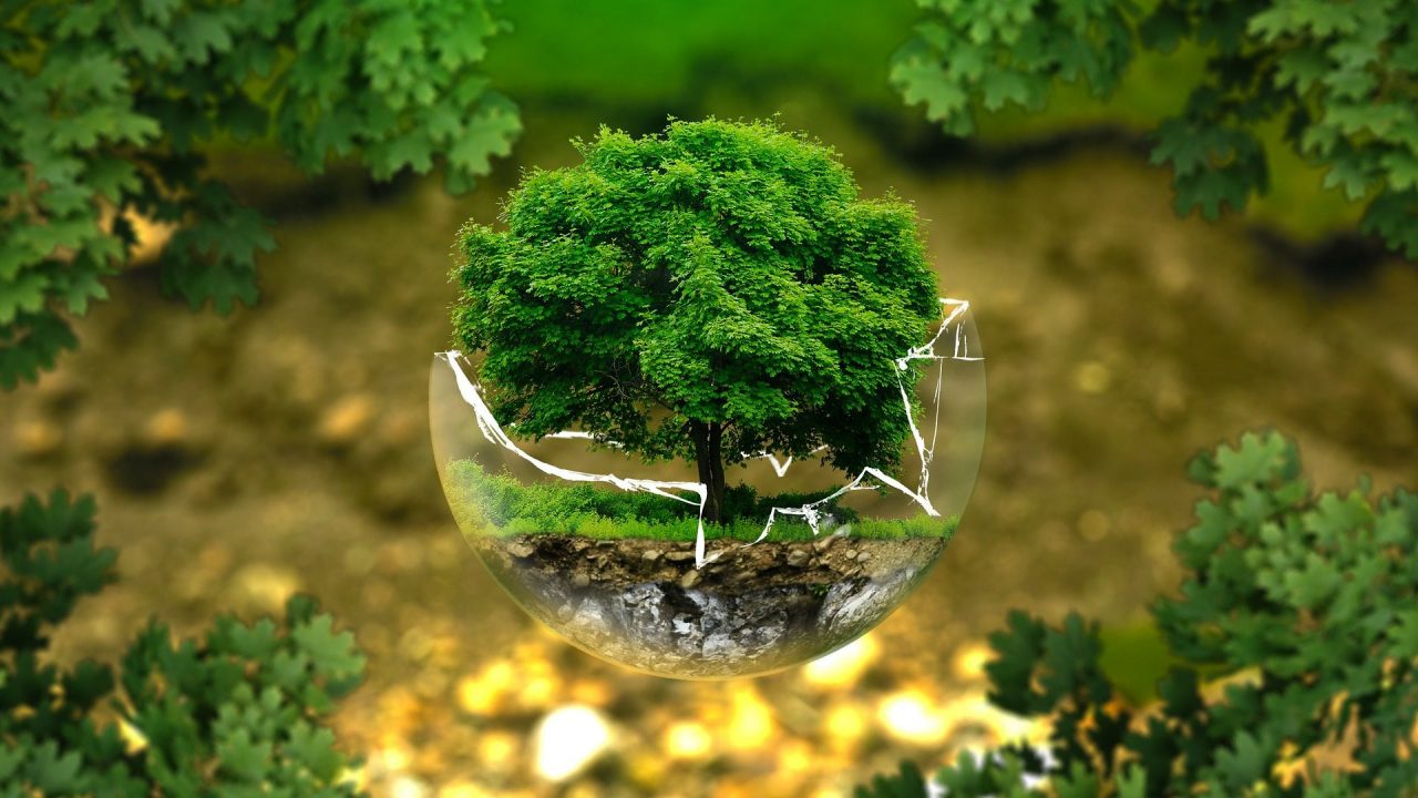 Accordo Sei Toscana Sienambiente per crediti Tia