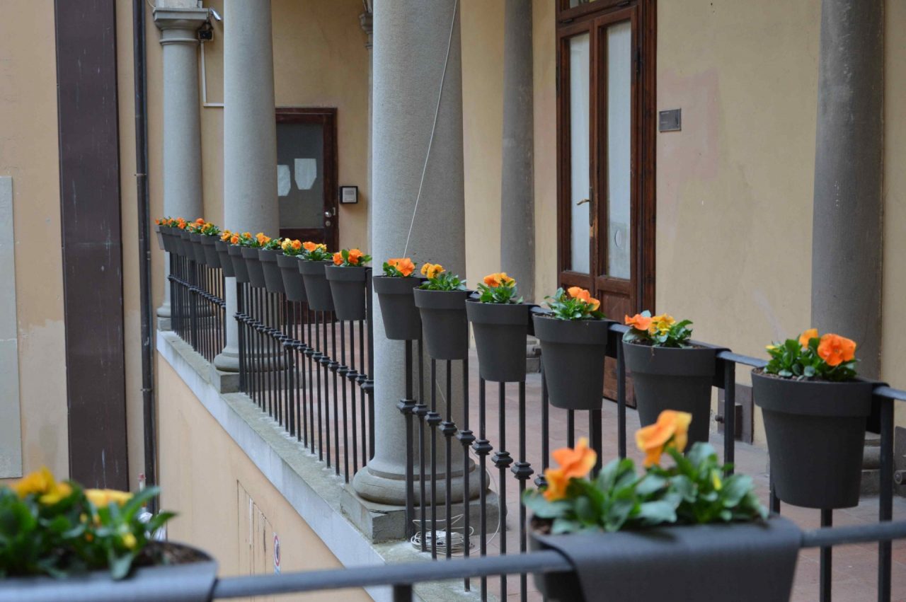 Festa della donna, fiori colorati abbelliscono il cortile della Magnolia