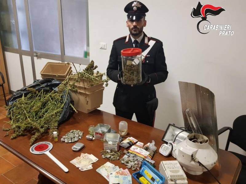 Serra di marijuana in casa, arrestato 42enne italiano