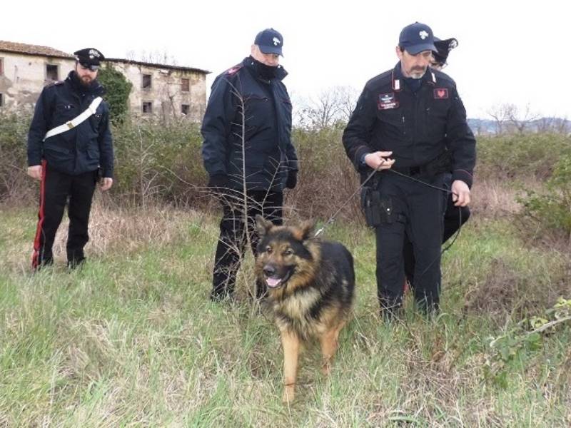 Serie di denunce tra Prato e provincia