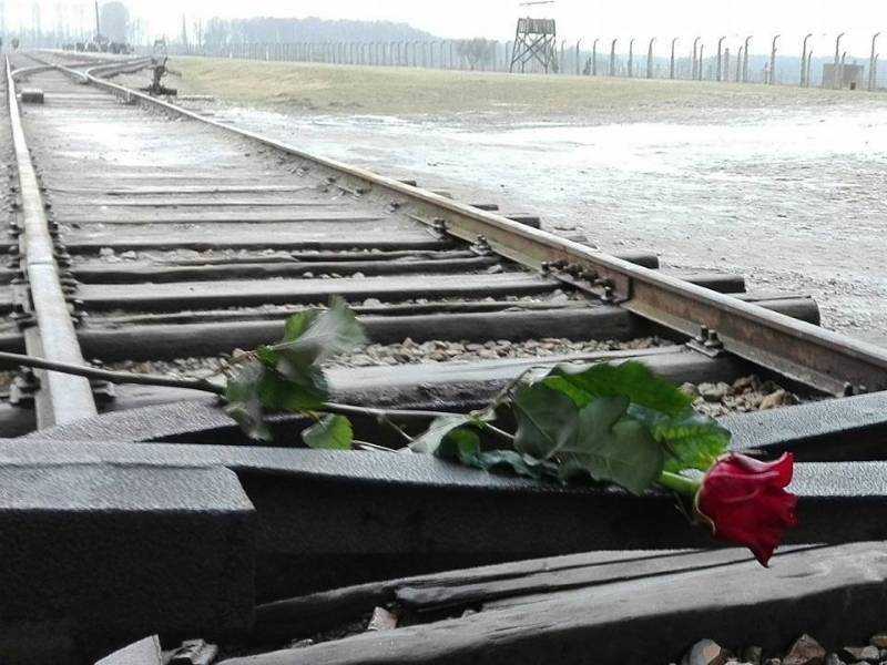 Giorno della Memoria, il programma delle iniziative a Sesto Fiorentino