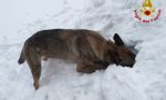 Sepolti dalla neve in Val di Luce: ma è solo un'esercitazione